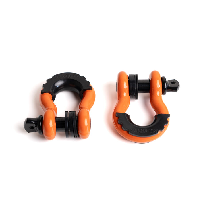 Tacoma Lifestyle Rugged D-Ring Shackle