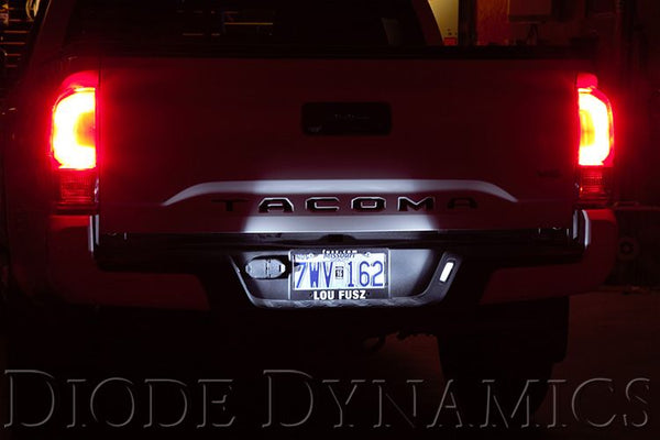 Diode Dynamics License Plate LED Replacements For Tacoma 1995